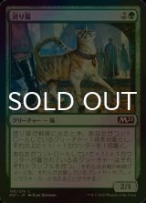 [FOIL] 誇り猫/Pridemalkin 【日本語版】 [M21-緑C]