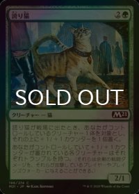[FOIL] 誇り猫/Pridemalkin 【日本語版】 [M21-緑C]