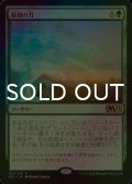 [FOIL] 原初の力/Primal Might 【日本語版】 [M21-緑R]