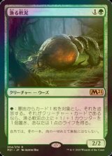 [FOIL] 漁る軟泥/Scavenging Ooze 【日本語版】 [M21-緑R]
