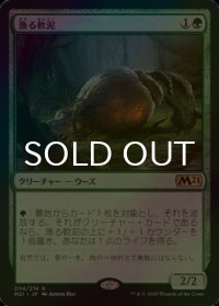 [FOIL] 漁る軟泥/Scavenging Ooze 【日本語版】 [M21-緑R]