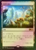 [FOIL] 鳥獣保護区/Animal Sanctuary 【日本語版】 [M21-土地R]