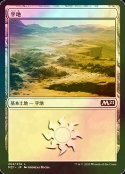 画像1: [FOIL] 平地/Plains No.262 【日本語版】 [M21-土地C]