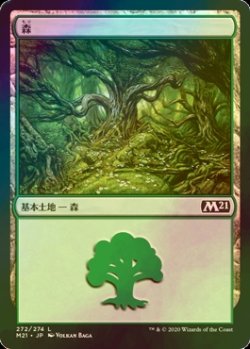 画像1: [FOIL] 森/Forest No.272 【日本語版】 [M21-土地C]