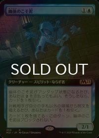 [FOIL] 幽体のこそ泥/Ghostly Pilferer (拡張アート版) 【日本語版】 [M21-青R]