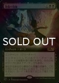 [FOIL] 悪魔の抱擁/Demonic Embrace (拡張アート版) 【日本語版】 [M21-黒R]