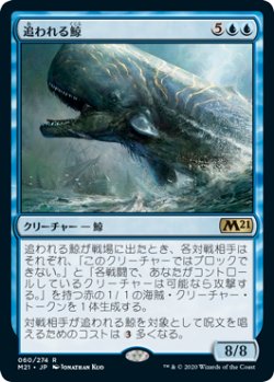画像1: 追われる鯨/Pursued Whale 【日本語版】 [M21-青R]