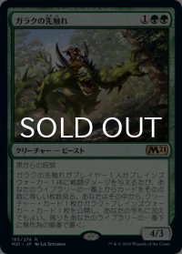 ガラクの先触れ/Garruk's Harbinger 【日本語版】 [M21-緑R]