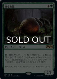 漁る軟泥/Scavenging Ooze 【日本語版】 [M21-緑R]
