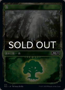 画像1: 森/Forest No.313 (ショーケース版) 【日本語版】 [M21-土地C]