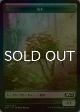 [FOIL] 苗木/SAPROLING 【日本語版】 [M21-トークン]