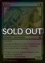 [FOIL] 豪腕/Brawn (リップル仕様) 【英語版】 [M3C-緑U]