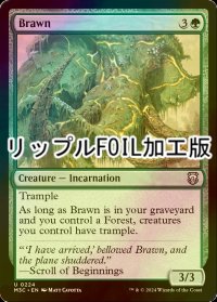[FOIL] 豪腕/Brawn (リップル・フォイル仕様) 【英語版】 [M3C-緑U]
