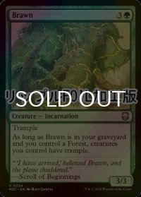 [FOIL] 豪腕/Brawn (リップル仕様) 【英語版】 [M3C-緑U]