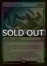 [FOIL] ウルヴェンワルドのハイドラ/Ulvenwald Hydra (リップル・フォイル仕様) 【英語版】 [M3C-緑MR]