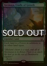 [FOIL] 成長の揺り篭、ヤヴィマヤ/Yavimaya, Cradle of Growth (リップル・フォイル仕様) 【英語版】 [M3C-土地R]
