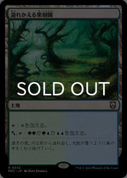 画像1: 溢れかえる果樹園/Flooded Grove 【日本語版】 [M3C-土地R]