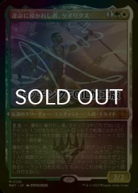 [FOIL] 運命に導かれし者、ケイリクス/Calix, Guided by Fate (エッチング仕様) 【日本語版】 [MAT-金MR]