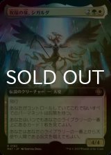 [FOIL] 祝福の泉、シガルダ/Sigarda, Font of Blessings (拡張アート版) 【日本語版】 [MAT-金R]