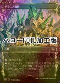 [FOIL] ドラニス遺跡/Drannith Ruins (ハロー仕様) 【日本語版】 [MAT-土地R]