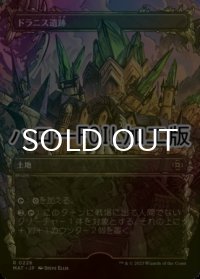 [FOIL] ドラニス遺跡/Drannith Ruins (全面アート版・ハロー仕様) 【日本語版】 [MAT-土地R]