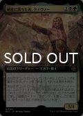 敵意に満ちた者、タイヴァー/Tyvar the Bellicose (拡張アート版) 【日本語版】 [MAT-金MR]
