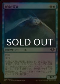[FOIL] 吹雪の大梟/Blizzard Strix 【日本語版】 [MH1-青U]