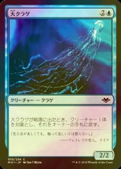 画像1: [FOIL] 大クラゲ/Man-o'-War 【日本語版】 [MH1-青C]