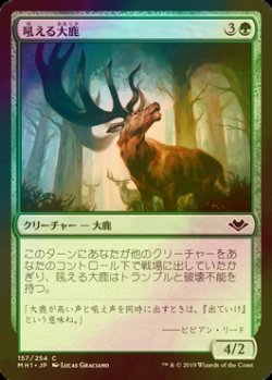 画像1: [FOIL] 吼える大鹿/Bellowing Elk 【日本語版】 [MH1-緑C]