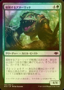 画像1: [FOIL] 掘削するアヌーリッド/Excavating Anurid 【日本語版】 [MH1-緑C]