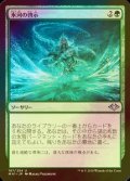 [FOIL] 氷河の啓示/Glacial Revelation 【日本語版】 [MH1-緑U]