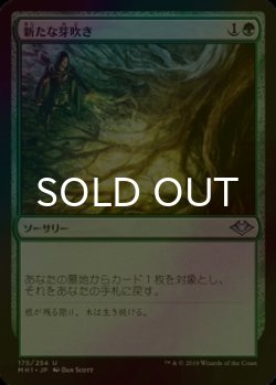 画像1: [FOIL] 新たな芽吹き/Regrowth 【日本語版】 [MH1-緑U]