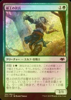 画像1: [FOIL] 樹上の伏兵/Treetop Ambusher 【日本語版】 [MH1-緑C]