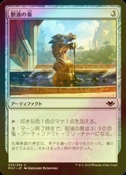 画像1: [FOIL] 胆液の泉/Fountain of Ichor 【日本語版】 [MH1-灰C]