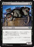 墓所のネズミ/Crypt Rats 【日本語版】 [MH1-黒U]