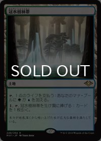 冠水樹林帯/Waterlogged Grove 【日本語版】 [MH1-土地R]