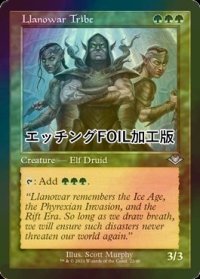 [FOIL] ラノワールの部族/Llanowar Tribe (旧枠, エッチング仕様) 【英語版】 [MH2-緑U]
