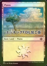 [FOIL] 平地/Plains No.481 (エッチング仕様) 【英語版】 [MH2-土地C]