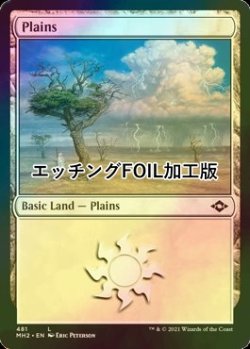 画像1: [FOIL] 平地/Plains No.481 (エッチング仕様) 【英語版】 [MH2-土地C]