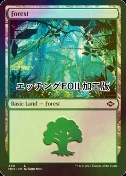 画像1: [FOIL] 森/Forest No.490 (エッチング仕様) 【英語版】 [MH2-土地C]
