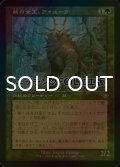 [FOIL] 熊の女王、アイユーラ/Ayula, Queen Among Bears (旧枠・エッチング仕様) 【日本語版】 [MH1-緑R]