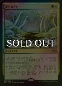 [FOIL] 真の木立ち/Sterling Grove (エッチング仕様) 【日本語版】 [MH2-金R]