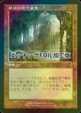 新緑の地下墓地/Verdant Catacombs (MH2/土地R/日/旧枠エッチングfoil/NM) ※詳細要確認