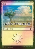 [FOIL] 平地/Plains No.481 (エッチング仕様) 【日本語版】 [MH2-土地C]