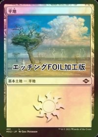 [FOIL] 平地/Plains No.481 (エッチング仕様) 【日本語版】 [MH2-土地C]