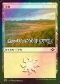 [FOIL] 平地/Plains No.482 (エッチング仕様) 【日本語版】 [MH2-土地C]