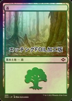 画像1: [FOIL] 森/Forest No.489 (エッチング仕様) 【日本語版】 [MH2-土地C]