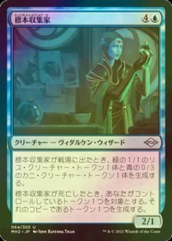 画像1: [FOIL] 標本収集家/Specimen Collector 【日本語版】 [MH2-青U]