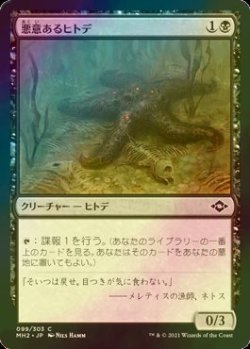 画像1: [FOIL] 悪意あるヒトデ/Sinister Starfish 【日本語版】 [MH2-黒C]