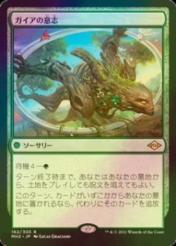 画像1: [FOIL] ガイアの意志/Gaea's Will 【日本語版】 [MH2-緑R]